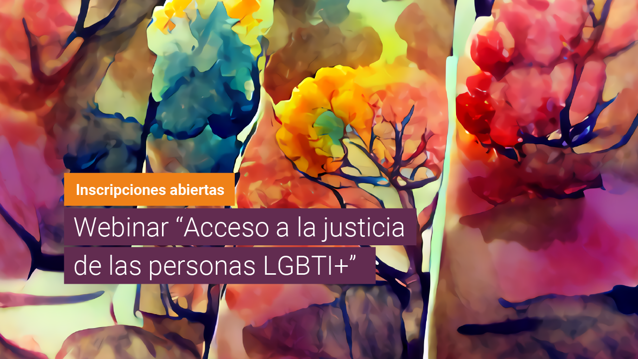 Webinar: “Acceso a la justicia de las personas LGBTI+” Corte Suprema de Justicia