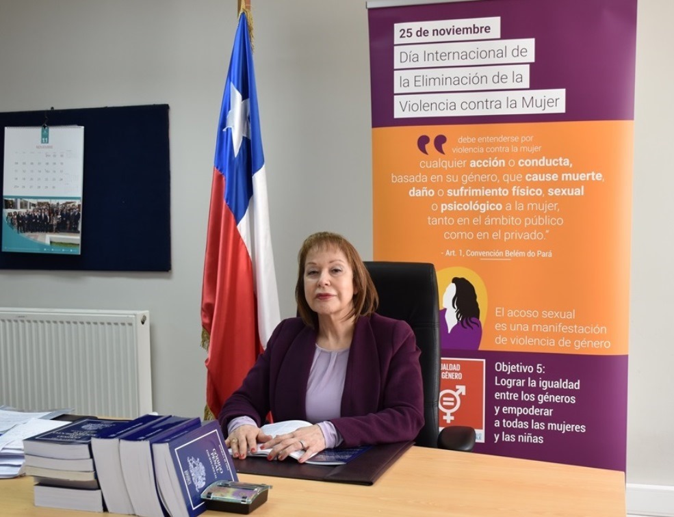 Corte de Apelaciones de Puerto Montt: Día Internacional de la Eliminación de la Violencia contra la Mujer
