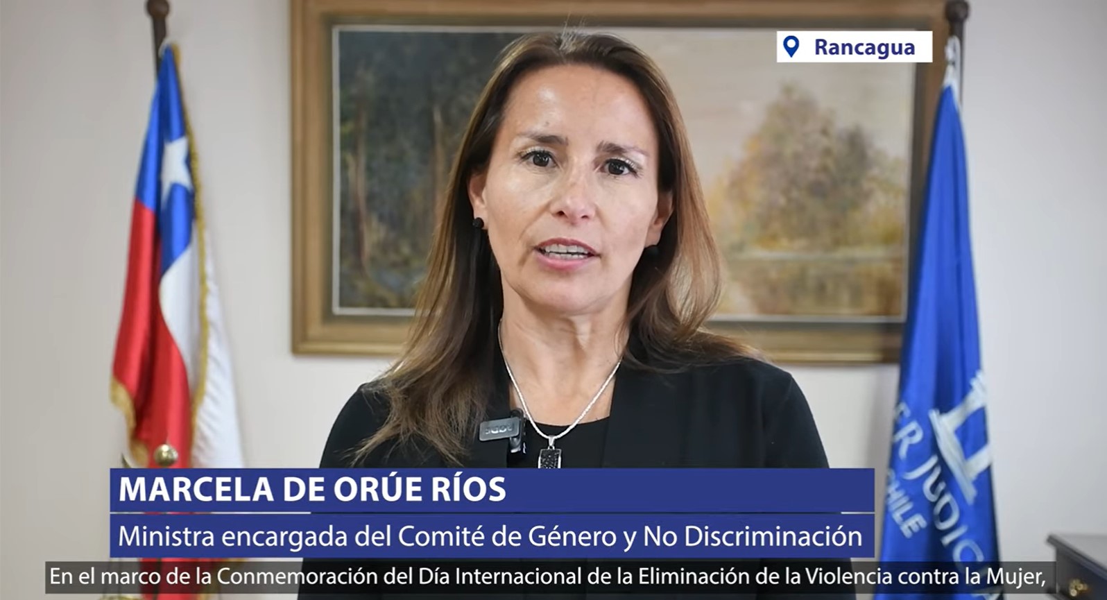 Comité de Género de Rancagua difunde la guía de atención de usuarias víctimas de violencia en el ámbito de pareja o intrafamiliar