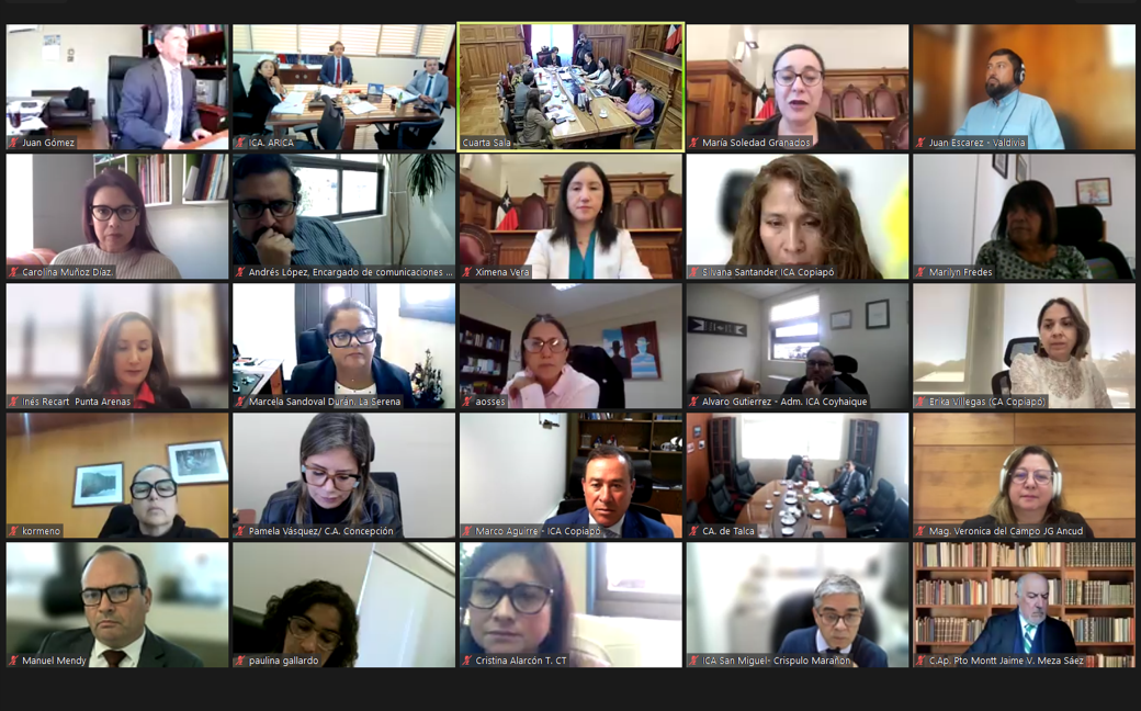 Comité de Género de Puerto Montt participa en primera reunión ampliada con ministra de la Corte Suprema Jessica González