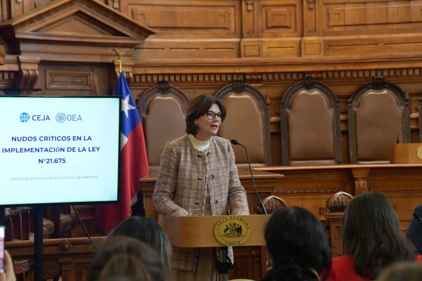 017SeminarioCeja29072026327