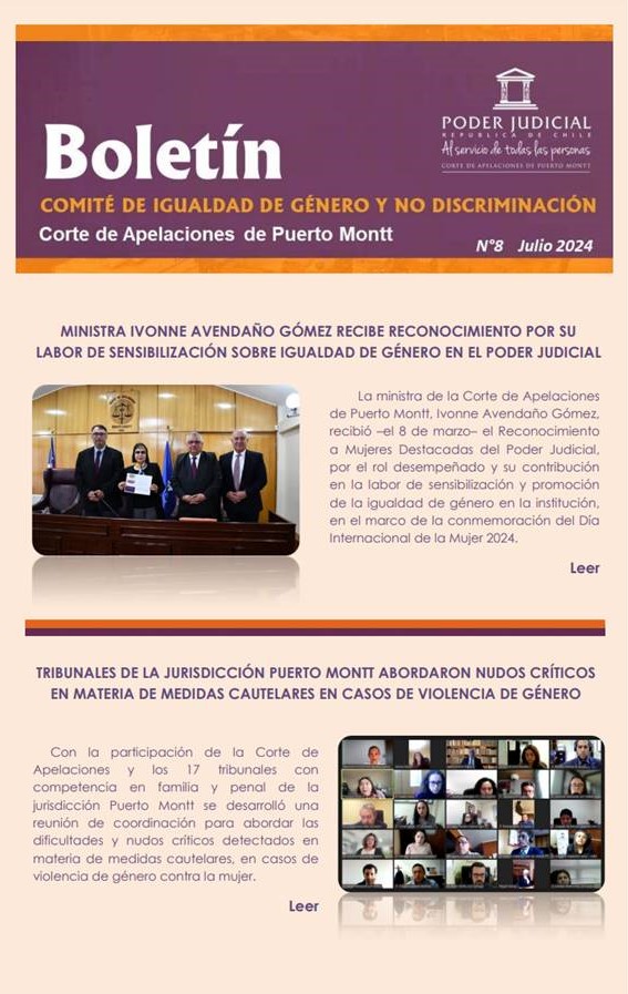 Comité de Género de la jurisdicción Puerto Montt publica octava edición de boletín informativo