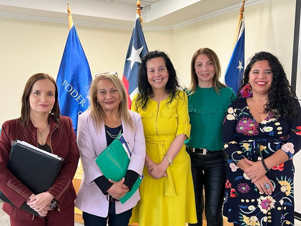 Abogadas y académicas analizaron sentencias con perspectivas de género en conversatorio organizado por la Corte de Apelaciones de Punta Arenas