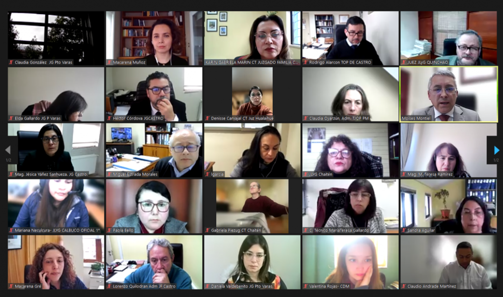 Comité de Género de Puerto Montt expuso en reunión interinstitucional las dificultades en el seguimiento de cautelares en favor de mujeres víctimas
