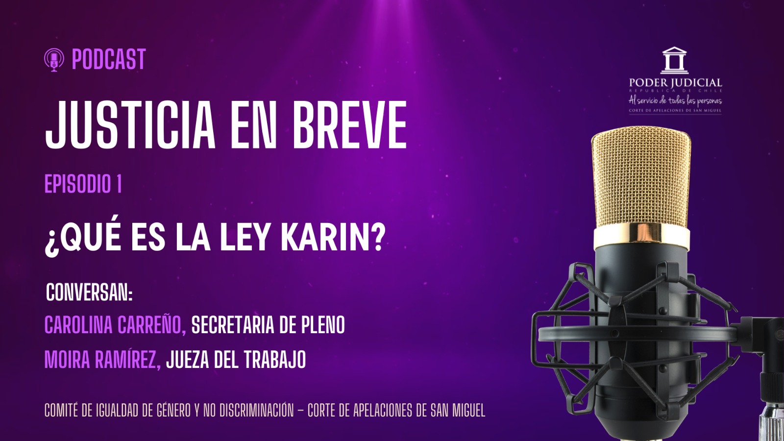 Comité de Género de la Corte de Apelaciones de San Miguel lanza podcast sobre la Ley Karin