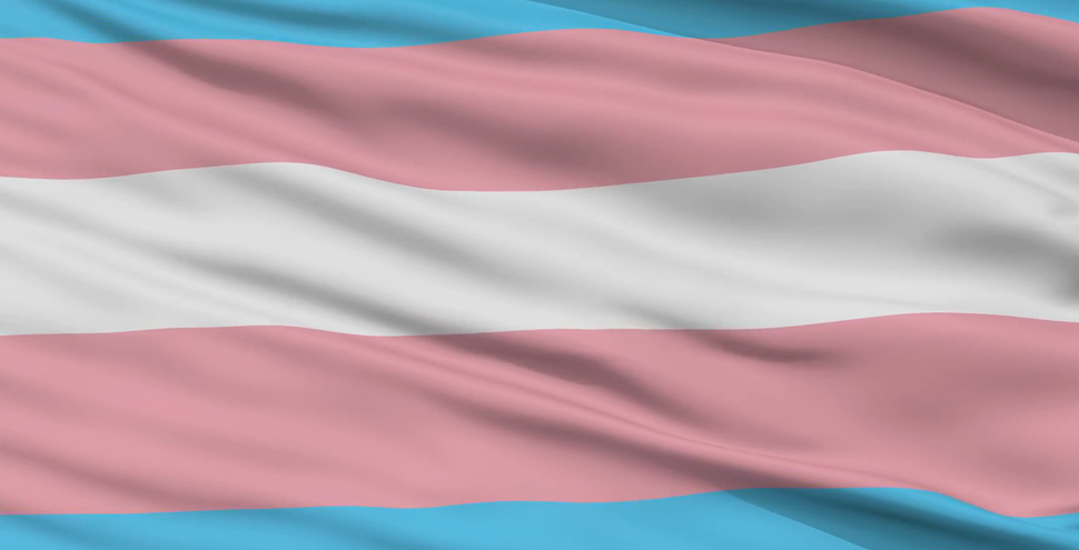 27 de diciembre de 2019, entró en vigencia la Ley N° 21.120 que reconoce y da protección al derecho a la identidad de género