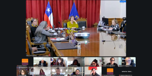 Reflexiones en torno a la Ley N° 21.805 que establece el Sistema Nacional de Cuidados marcaron la segunda reunión del Consejo Consultivo de Igualdad de Género y No Discriminación de 2026