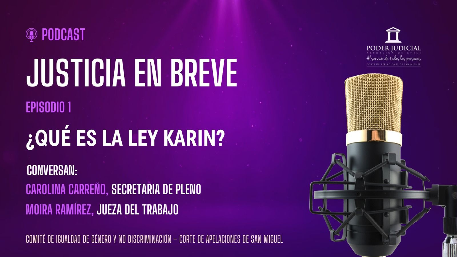 Comité de Género de la Corte de Apelaciones de San Miguel lanza podcast sobre la Ley Karin