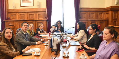 Comités de género de las Cortes de Apelaciones del país participan en primera reunión ampliada del año