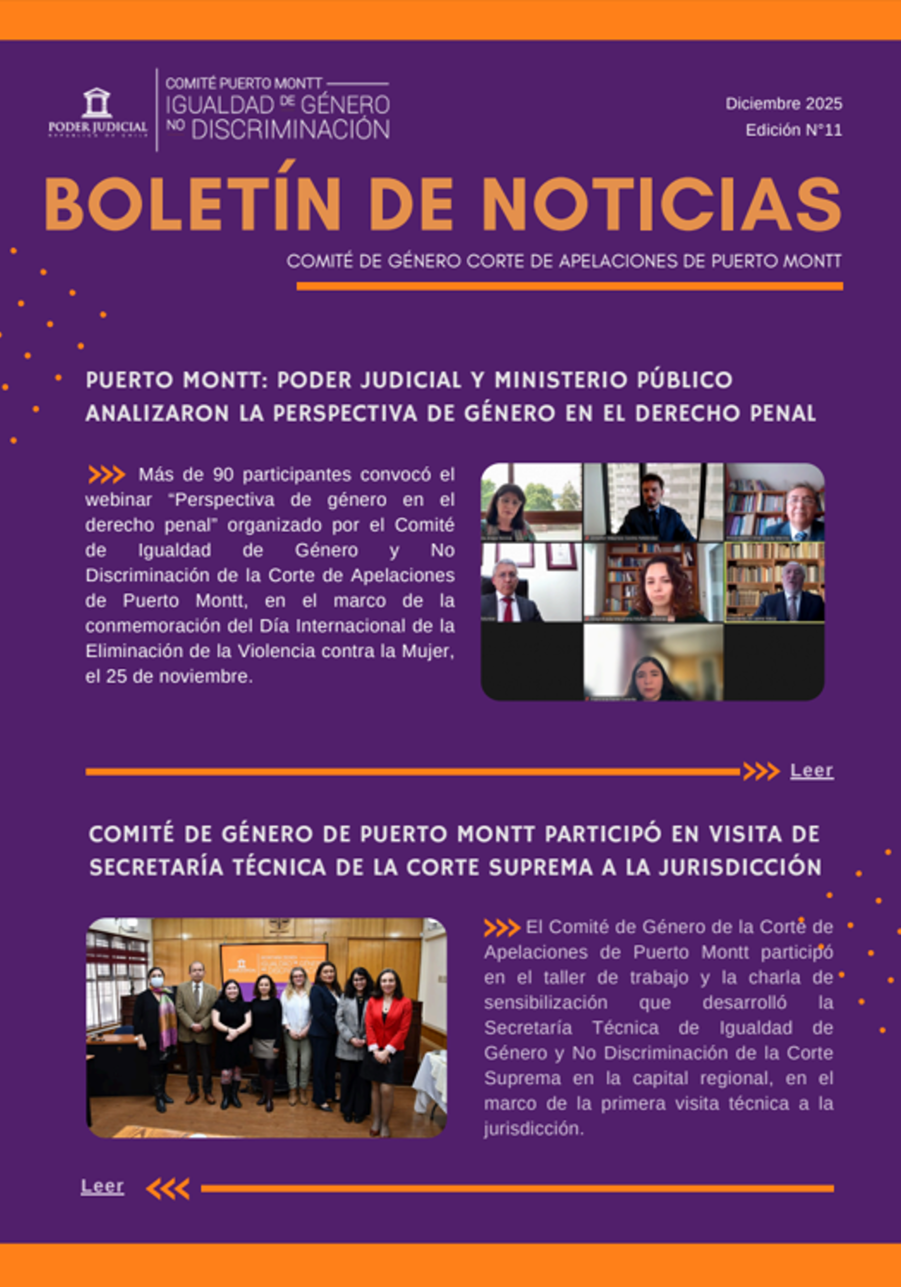 Comité de Género de la Jurisdicción Puerto Montt publica undécima edición de boletín informativo